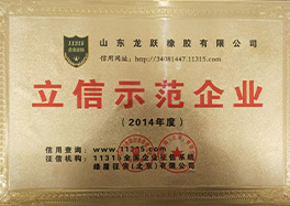 _0005_9、立信示范企業(yè)